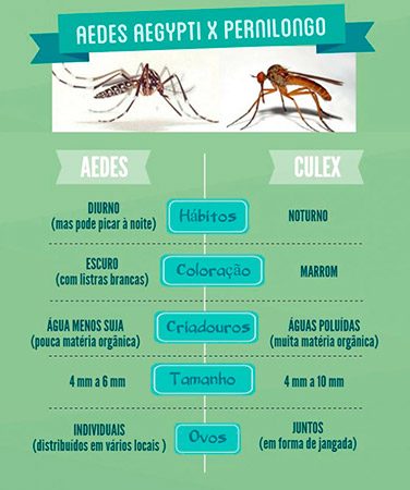 melhores formas criativas acabar pernilongos