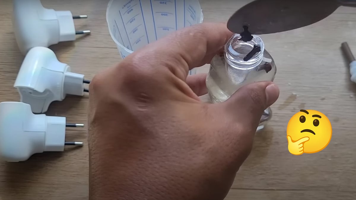 receita armadilha garrafa pet pernilongo