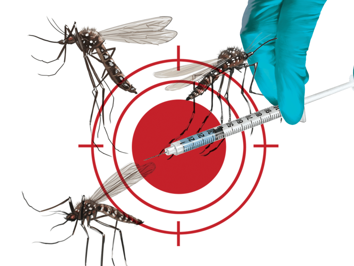 melhores truques criativos pernilongos