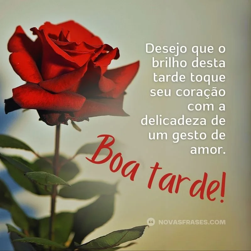 mensagem de boa tarde abençoada