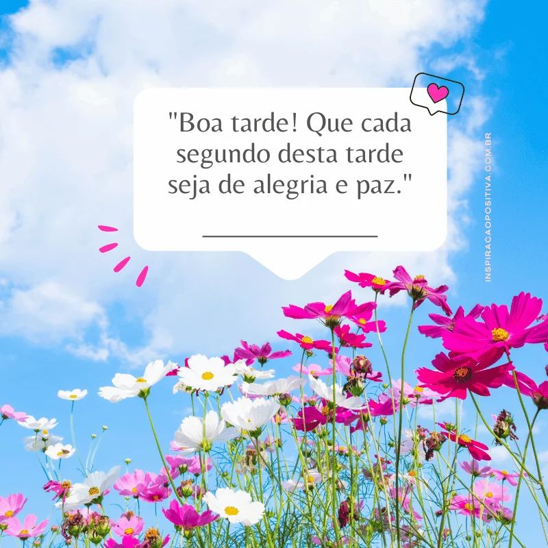 mensagem de boa tarde com foto