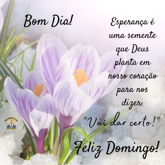 bom dia domingo com fé