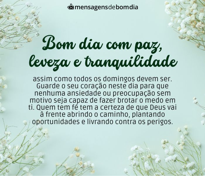 domingo reflexivo