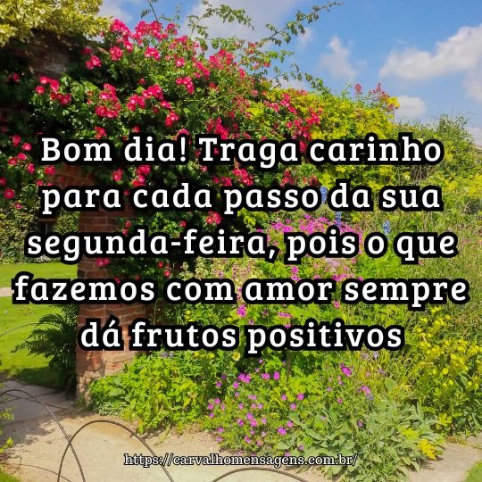 começar a semana com bom dia