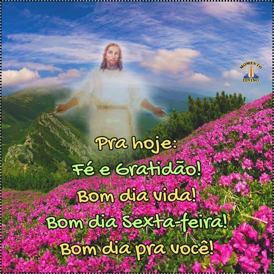 bom dia sexta-feira com humor
