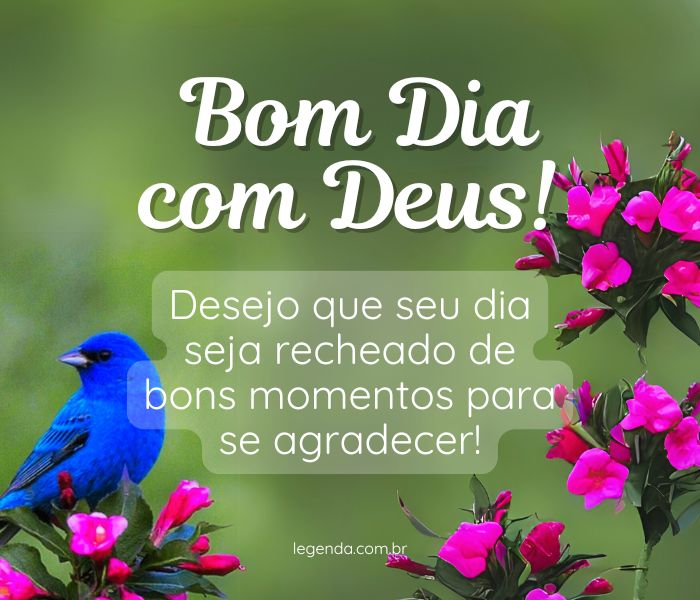 mensagens de bom dia para compartilhar no whatsapp