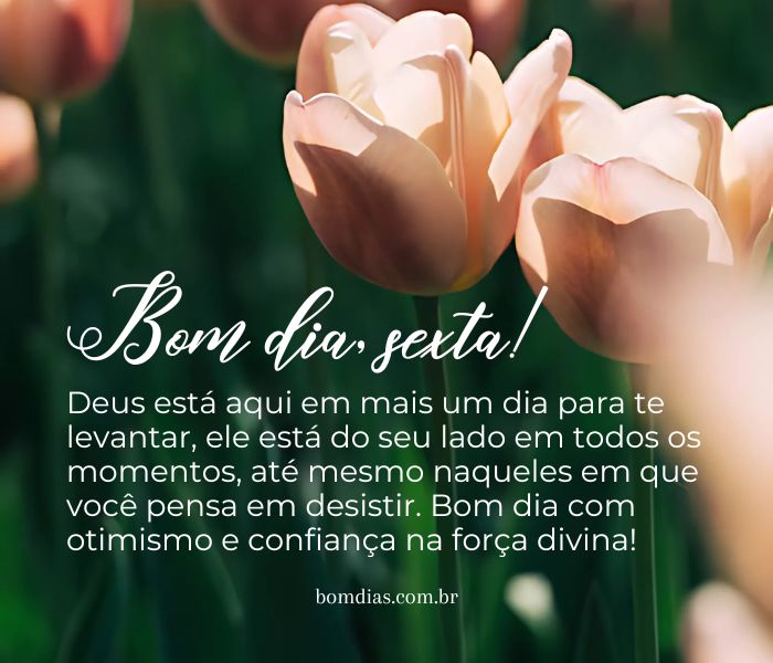 bom dia sexta-feira com flores