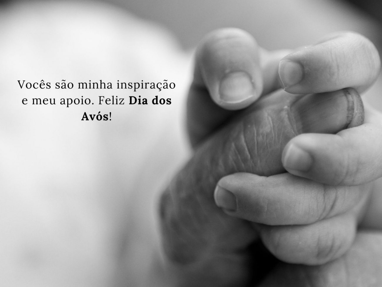 Como Celebrar o Dia dos Avós com Amor e Carinho