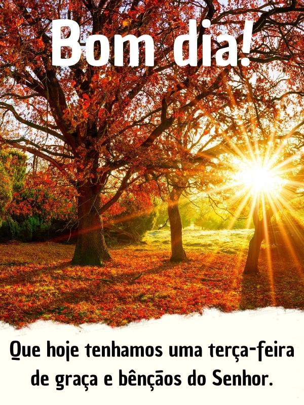mensagens de bom dia para o trabalho terça-feira