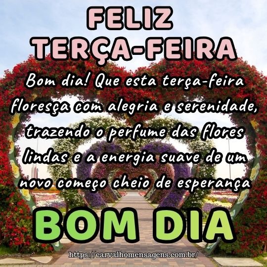 frases motivacionais terça-feira