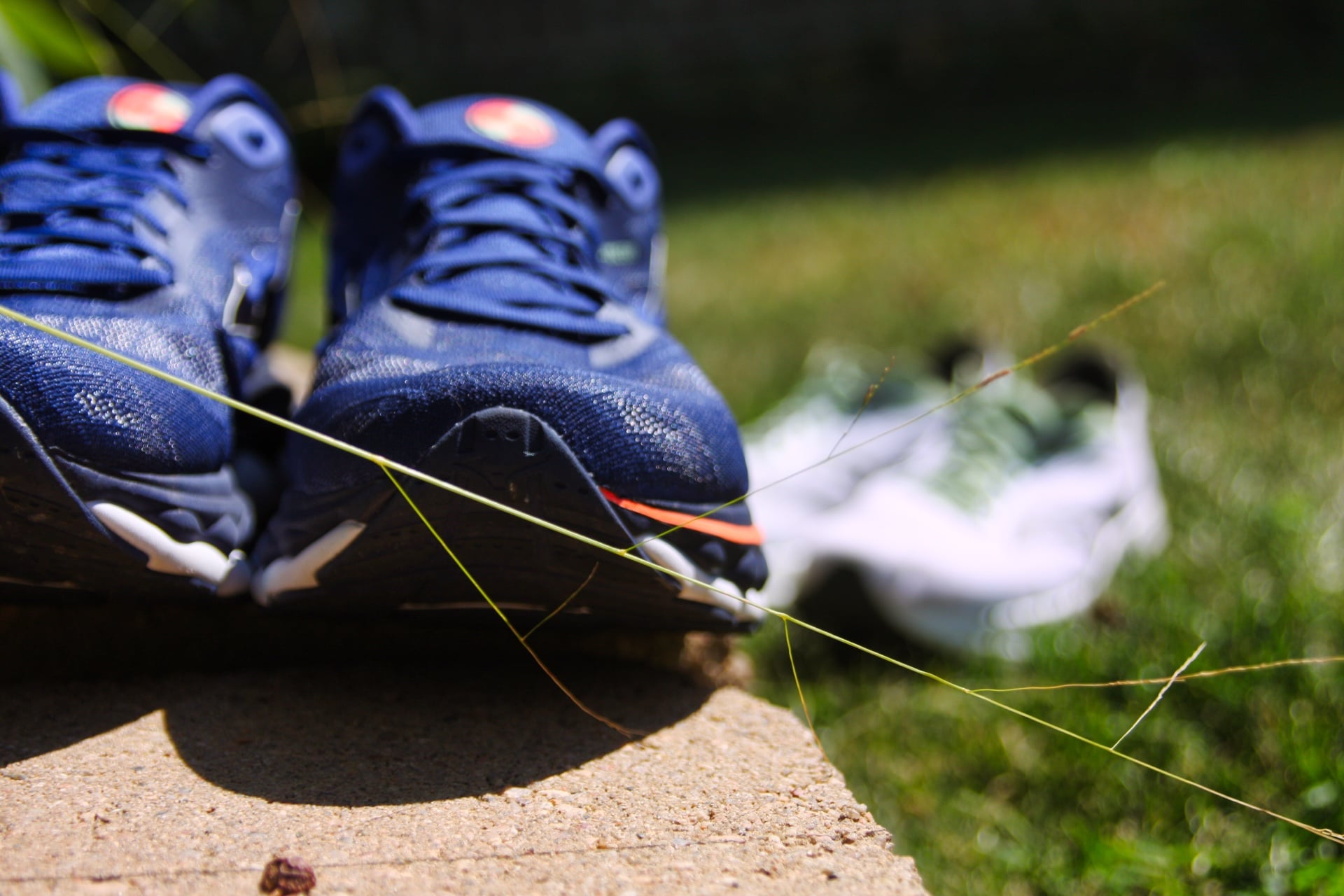 Mizuno Wave Prophecy 15 roxo