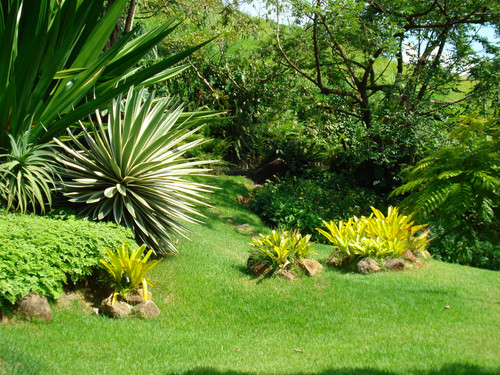jardim estreito