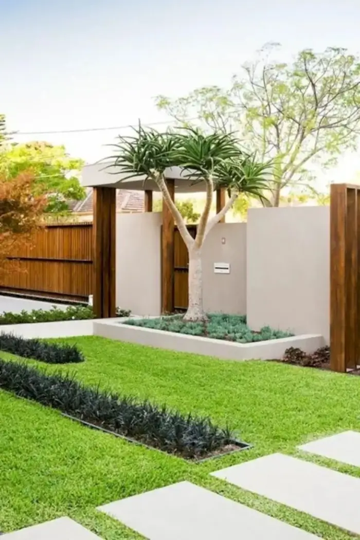 jardim com folhagens verdes