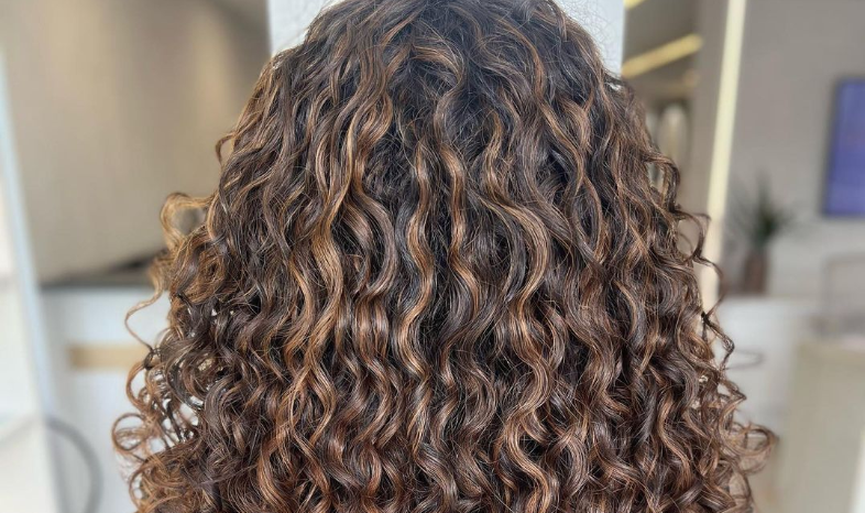 inspiração morena iluminada cabelo cacheado