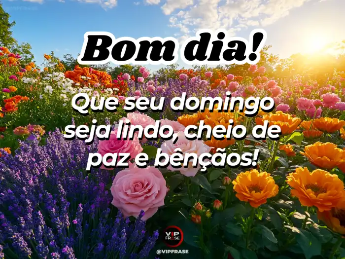 mensagens de bom dia domingo para whatsapp