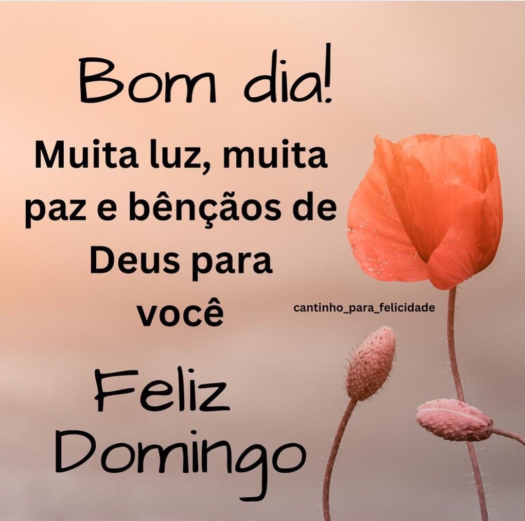 domingo feliz