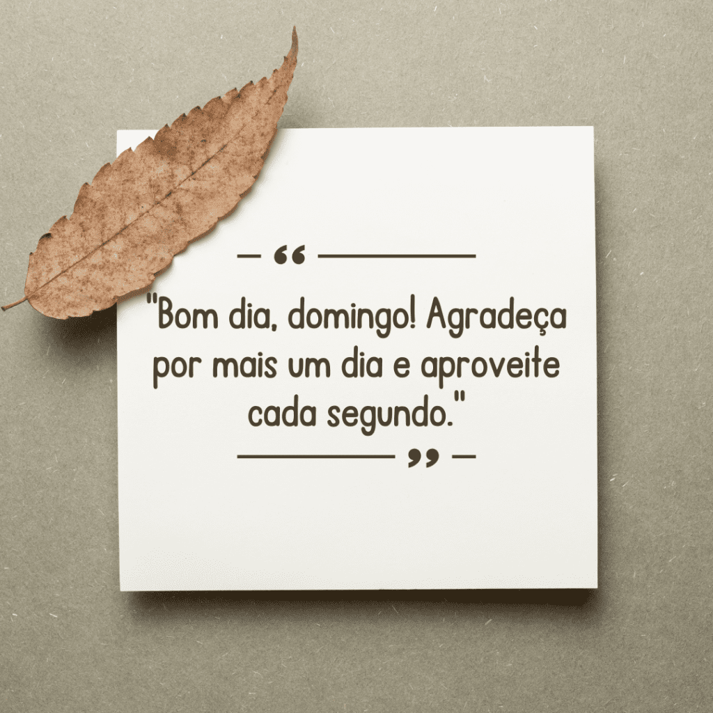 domingo de reflexão