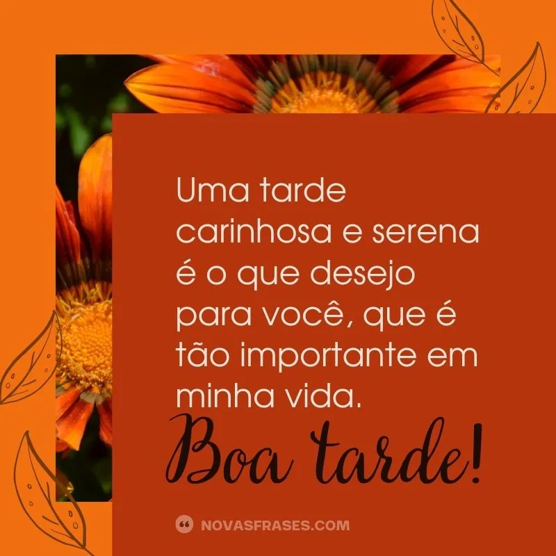mensagem de boa tarde com carinho para família