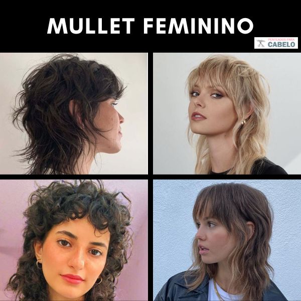 Shullet vs Wolf Cut: qual a melhor opção para cabelos cacheados?