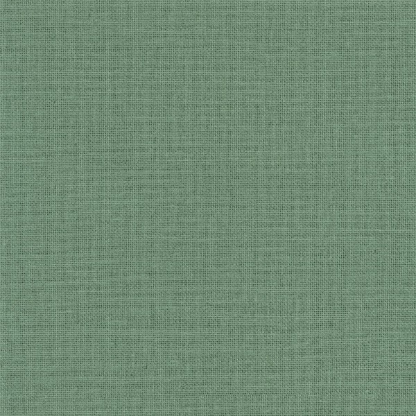 Textura Musgo vs. Papel de Parede 3D: Qual a Melhor Opção para Você?