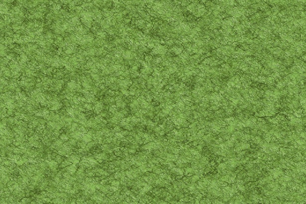 DIY: Crie Seus Próprios Detalhes com Spray Efeito Musgo