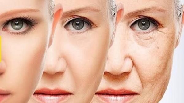 melhores tratamentos para bigode chinês