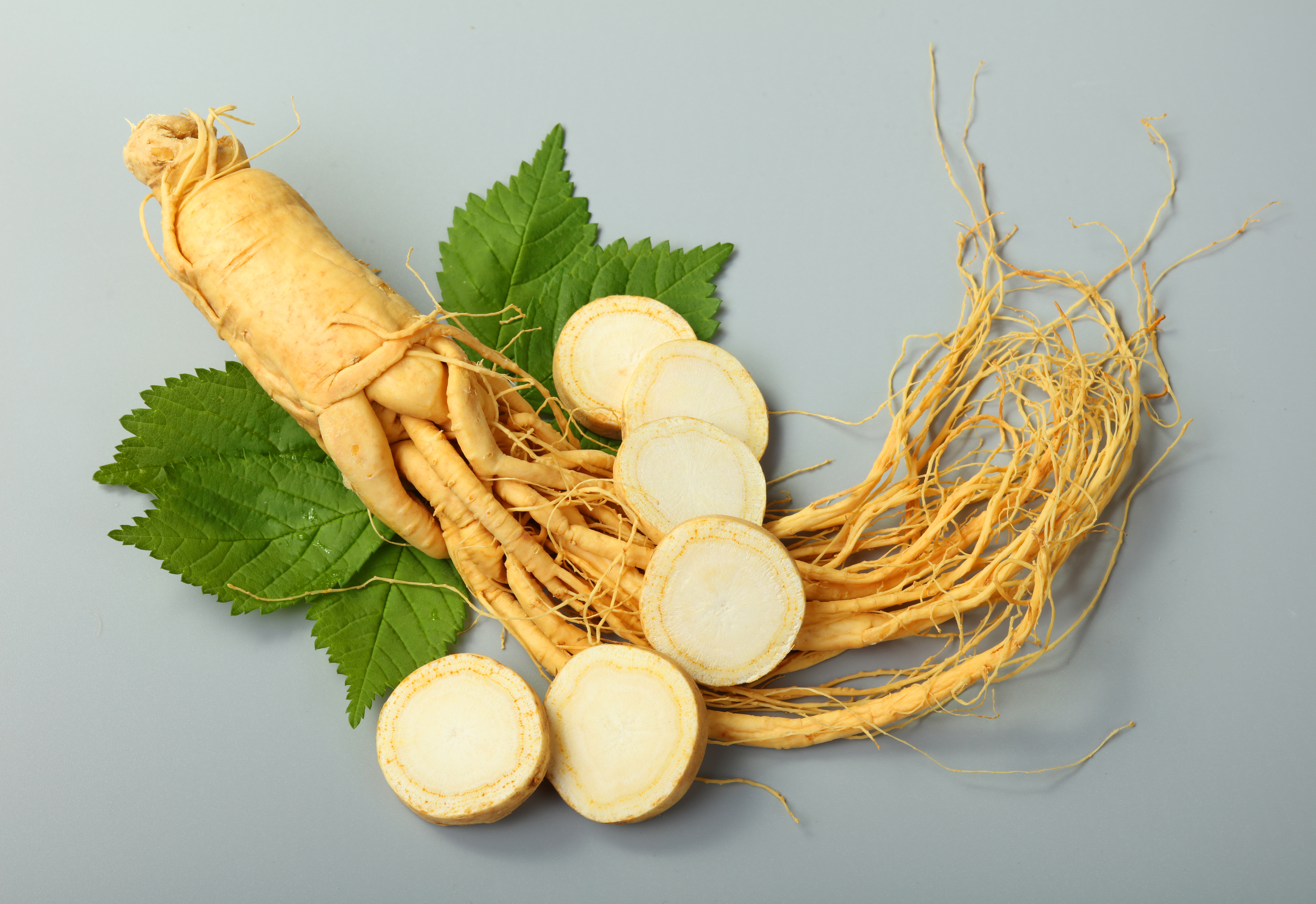 erros comuns ao usar ginseng