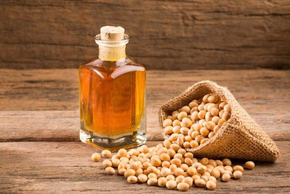 melhores óleos vegetais para sua saúde e beleza