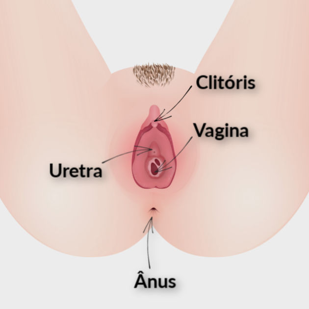 Mitos e Verdades: Orgasmo sem Ejaculação é Possível?