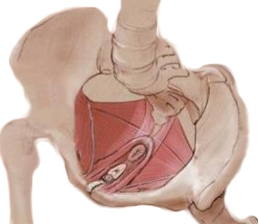 exercícios para fortalecer o períneo em casa
