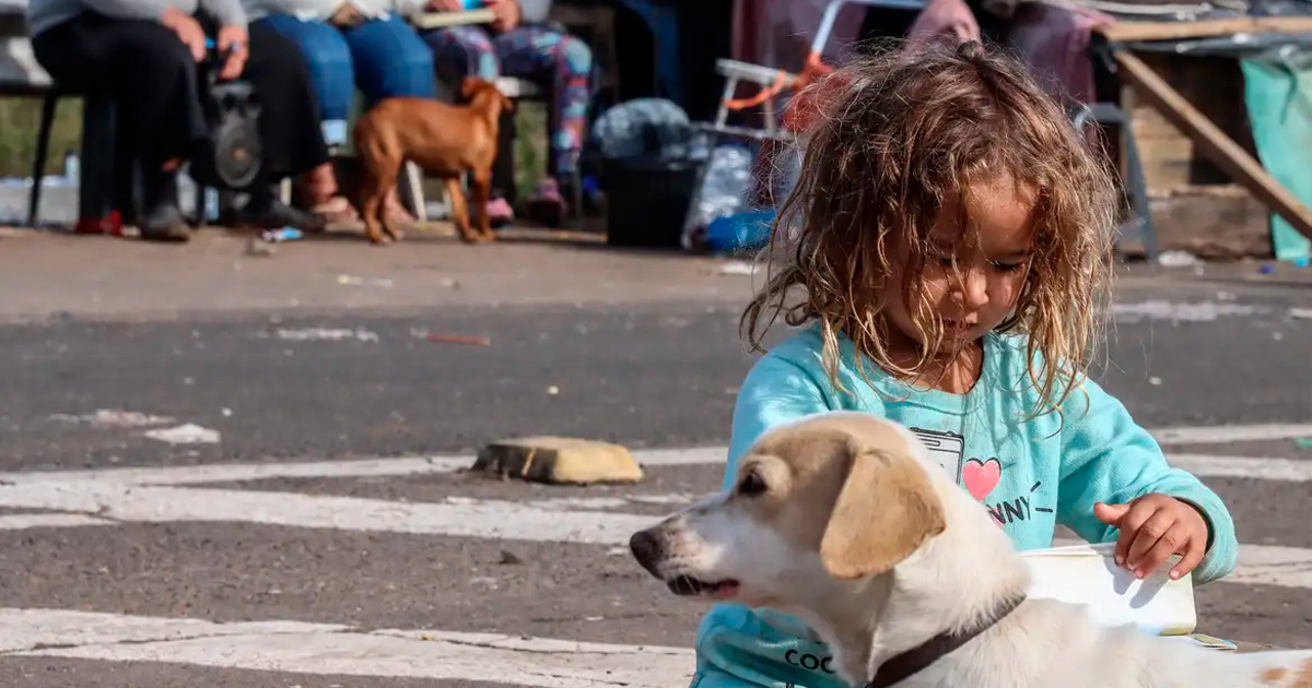 Solidariedade e cidadania: garantindo direitos através da ação coletiva