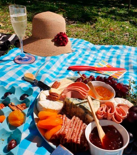 o que levar no piquenique