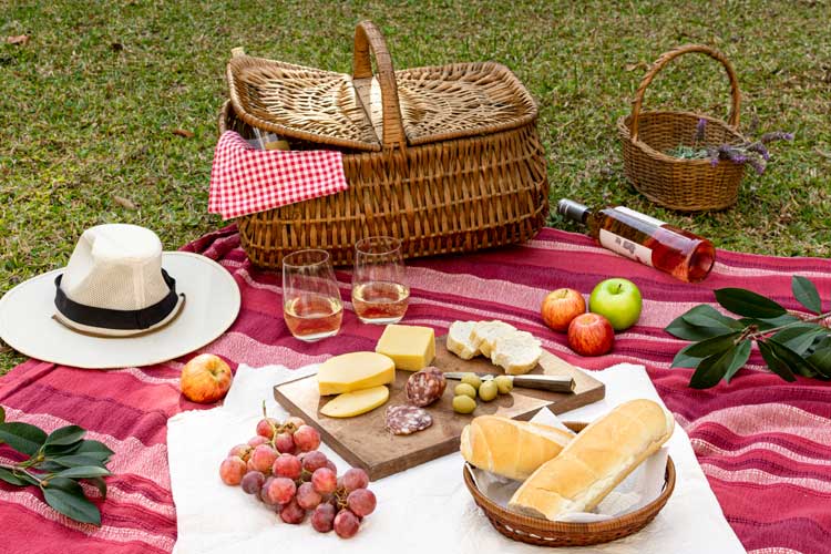 erros ao organizar um piquenique