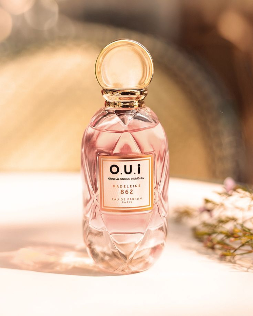 O.U.i Madeleine 862 vs Scandal