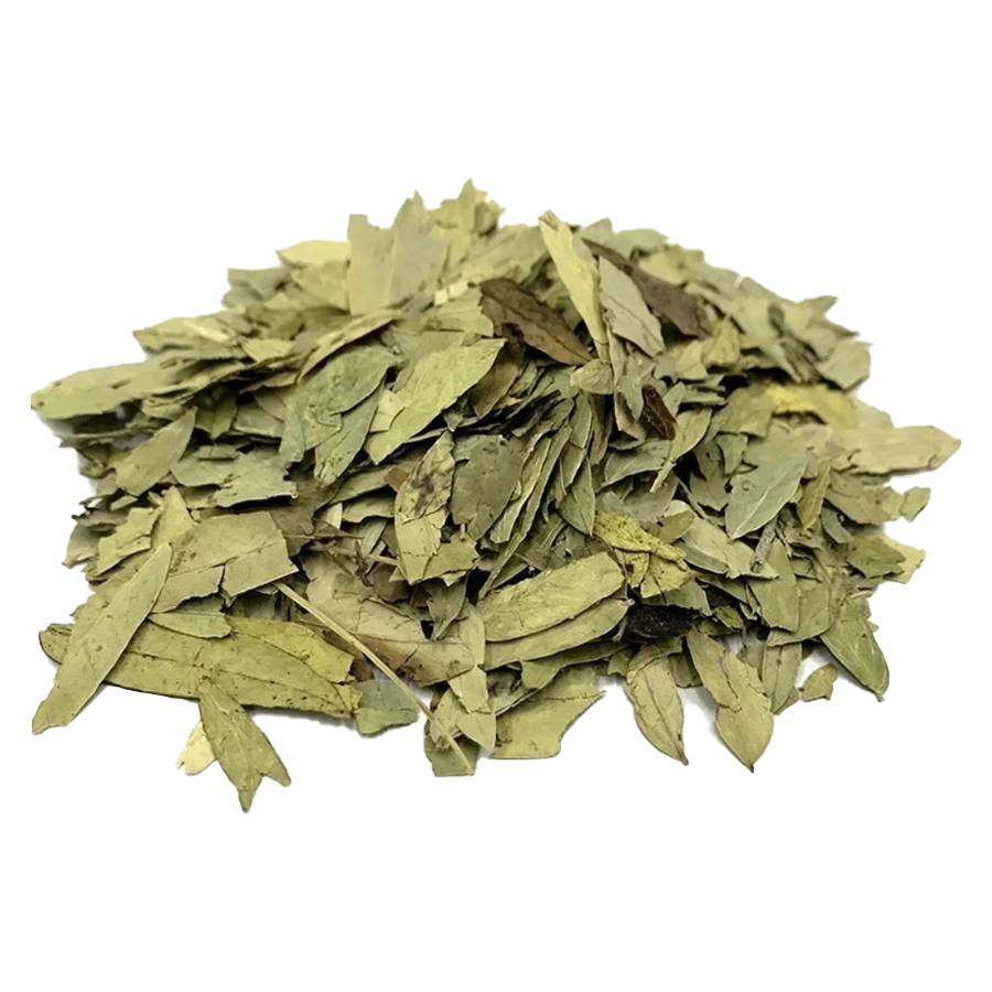 melhores lugares para comprar folhas de sene