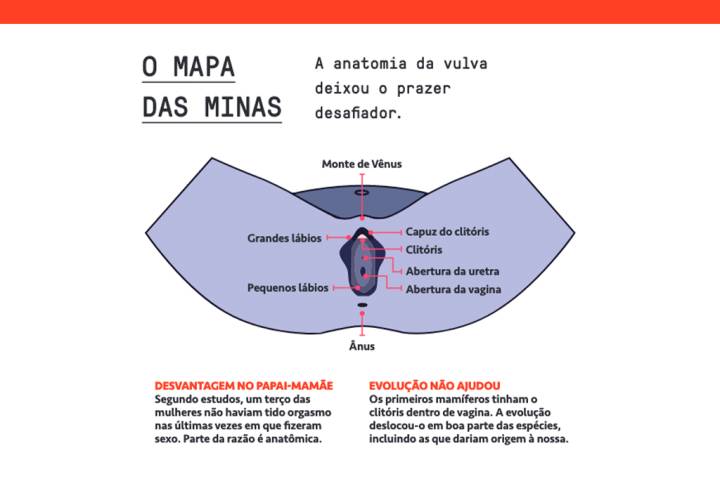 orgasmo feminino e masculino diferenças