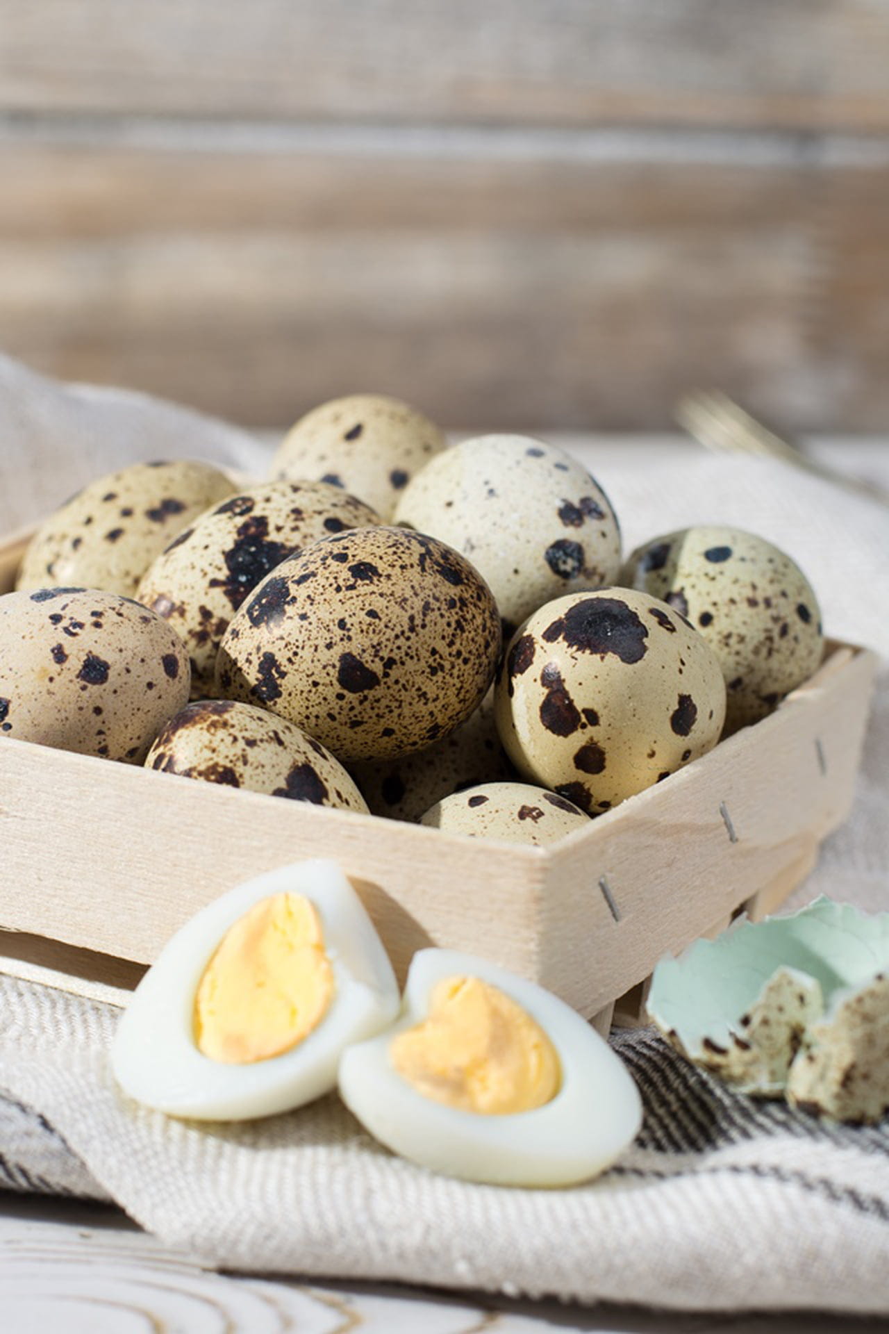 Ovo De Codorna Engorda