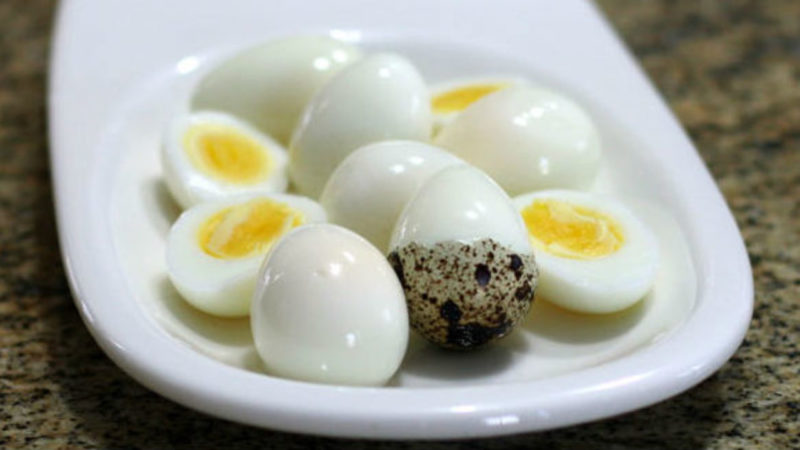 Receitas saudáveis com ovo de codorna para emagrecer