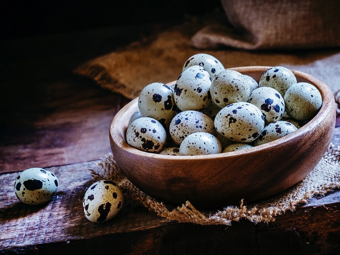 Receitas saudáveis com ovo de codorna para emagrecer