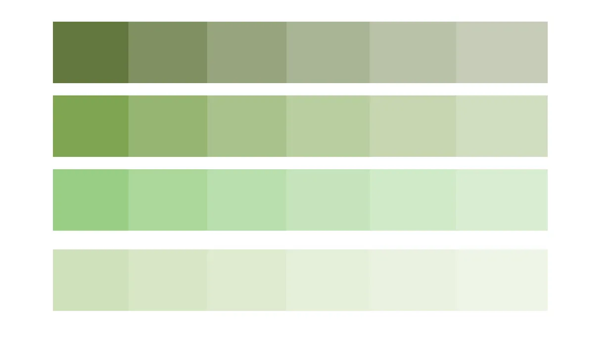 roupa verde musgo