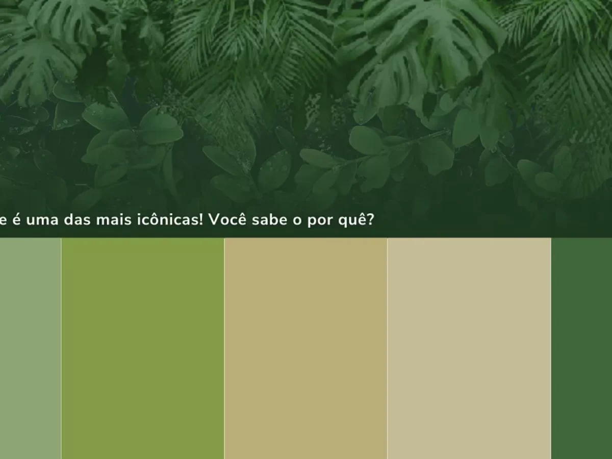 roupa verde oliva