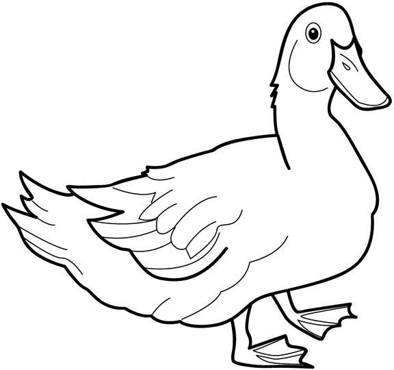 desenhos de patos fofos