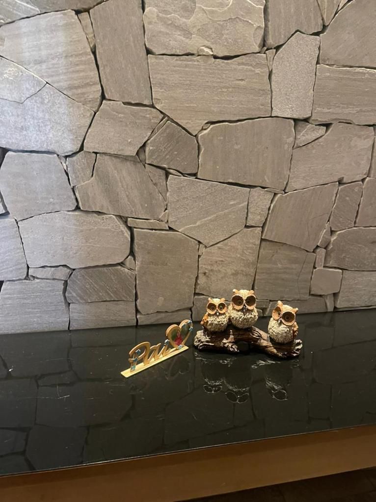 Pedra para parede interna