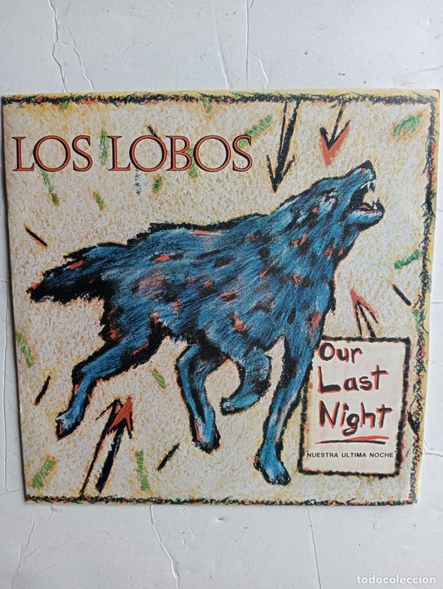 'Lobo em Pele de Cordeiro': Entenda a Expressão Bíblica e Seu Impacto Cultural