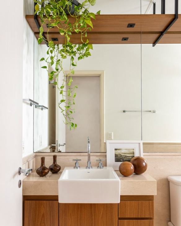 plantas para banheiro pequeno