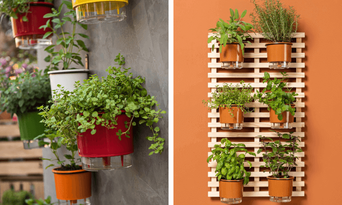 parede de plantas