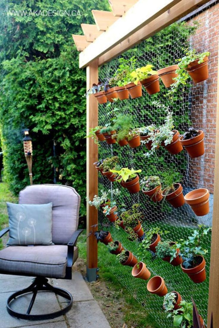estilo minimalista com plantas