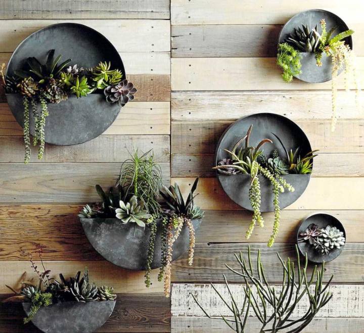 jardim vertical interno