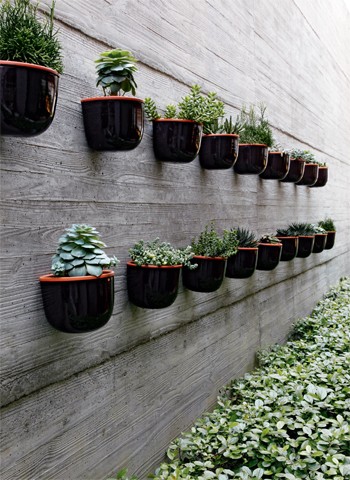 prateleira para plantas
