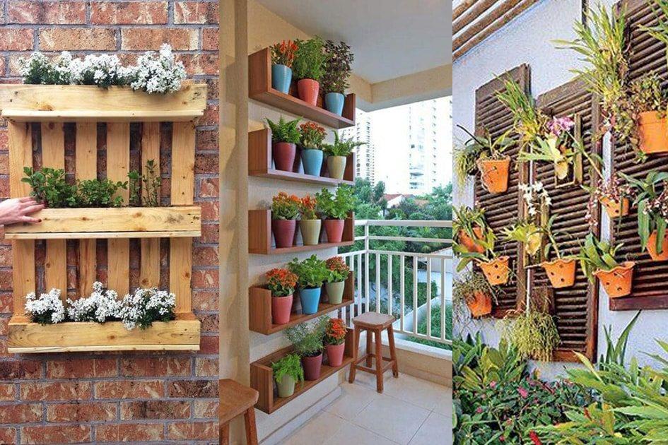plantas pendentes na parede